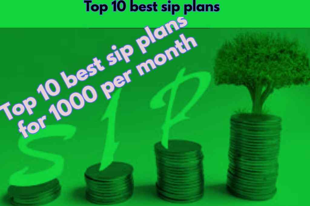 Top 10 best sip plans for 1000 per month in 2024 |